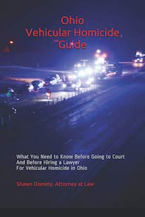 Ohio Vehicular Homicide Guide