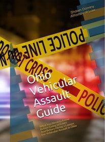 Ohio Vehicular Assault Guide